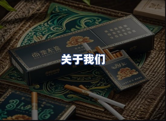 关于我们